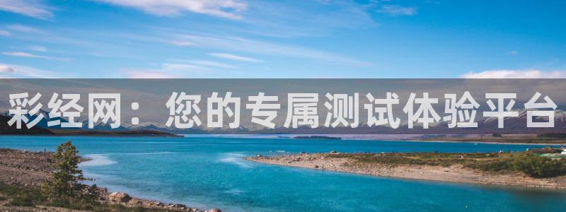 彩经网：您的专属测试体验平台