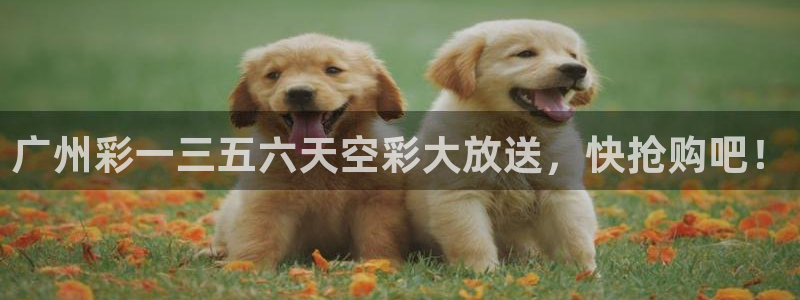 彩易通选号工具：广州彩一三五六天空彩大放送，快抢购吧！