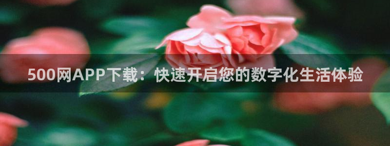 彩易通app下载：500网APP下载：快速开启您的数字化生活体验