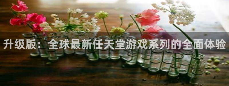 彩易通官网：升级版：全球最新任天堂游戏系列的全面体验