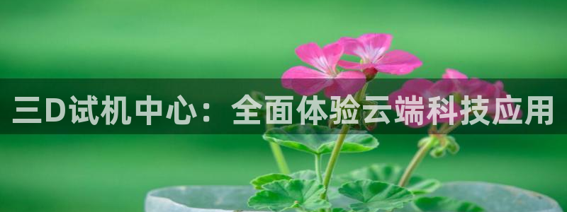 彩易通官网：三D试机中心：全面体验云端科技应用