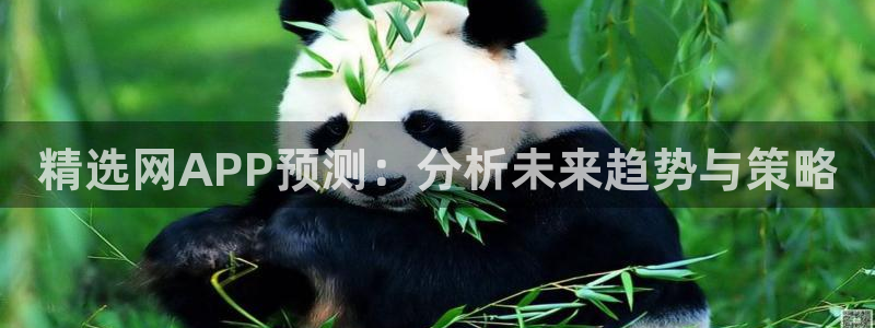 彩易通选号工具：精选网APP预测：分析未来趋势与策略