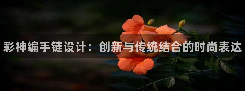 彩易通选号工具：彩神编手链设计：创新与传统结合的时尚表达